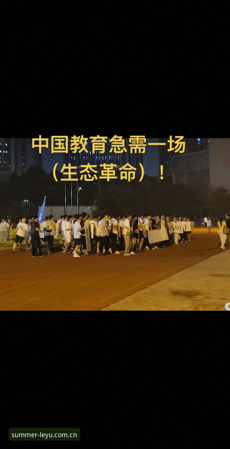 乐鱼体育平台夏季赛深度评测：一场从“能用”到“好用”的跃迁